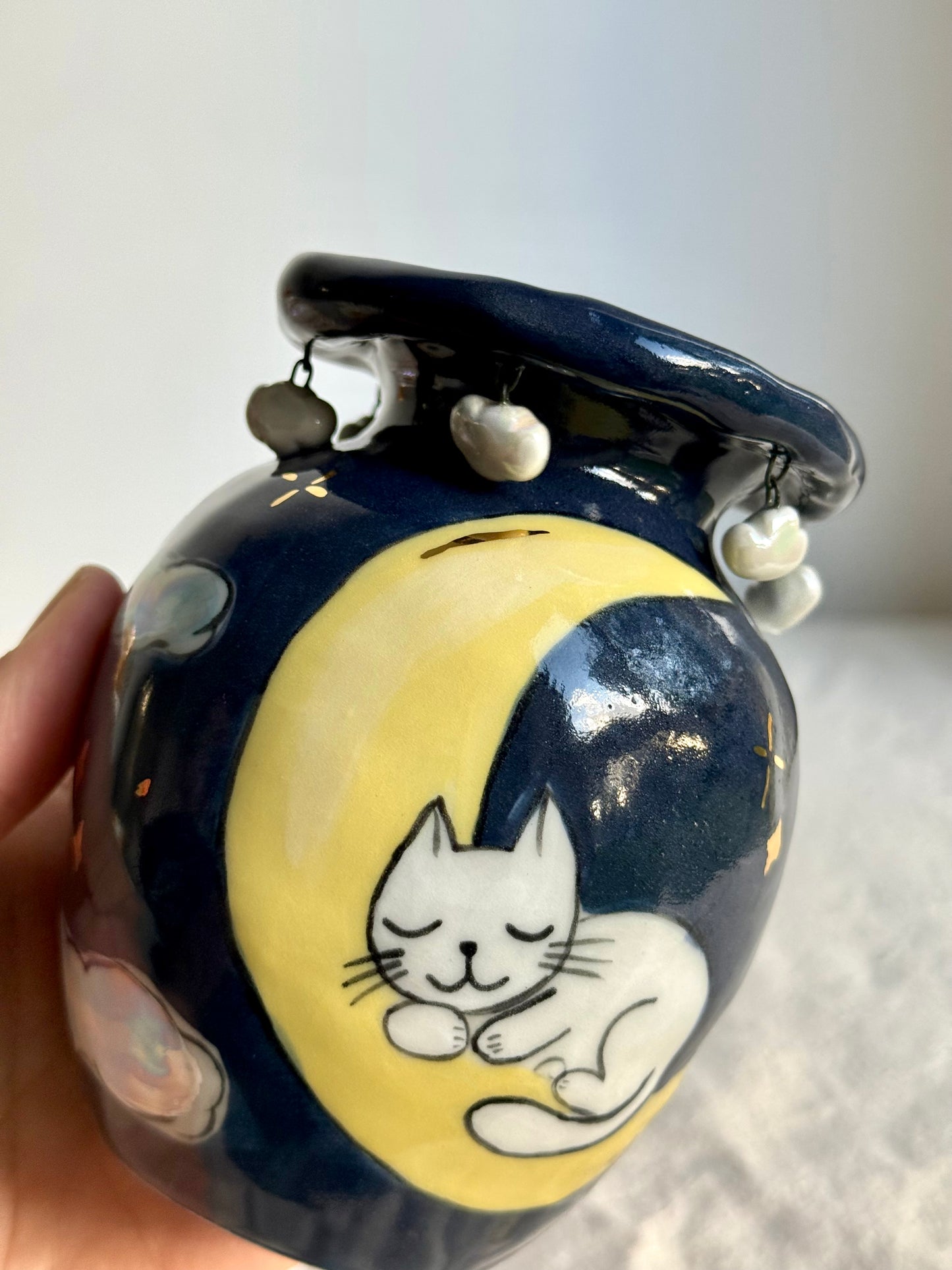 Sleeping Cat on Moon